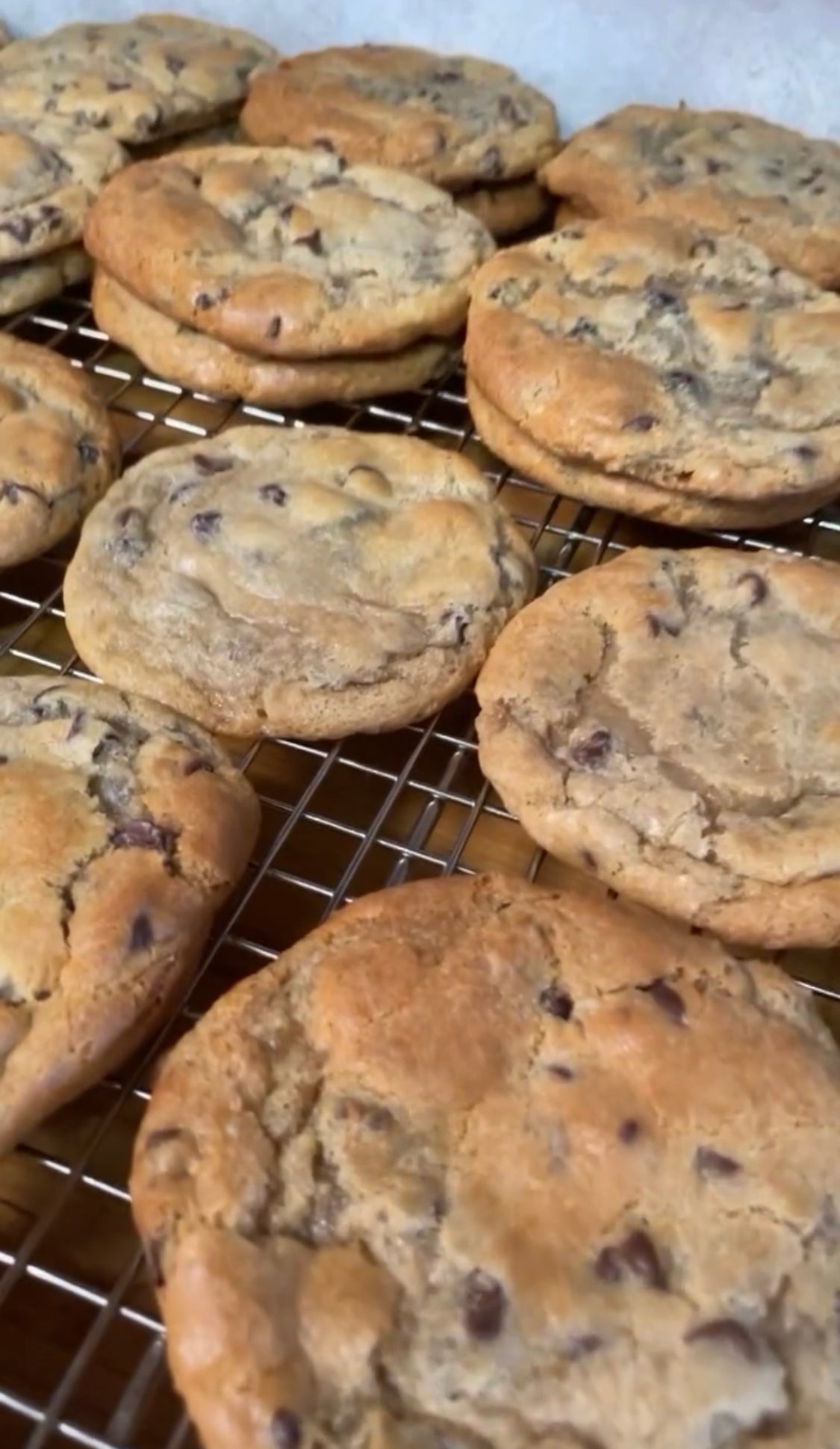 Chocolate chip cookies (5-pack)